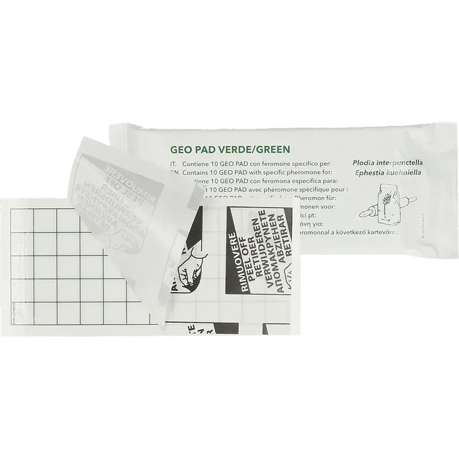 Voedselmot lijmplaten met feromoon 10 stuks | 13 x 6 cm | tot 2 maanden monitoring
