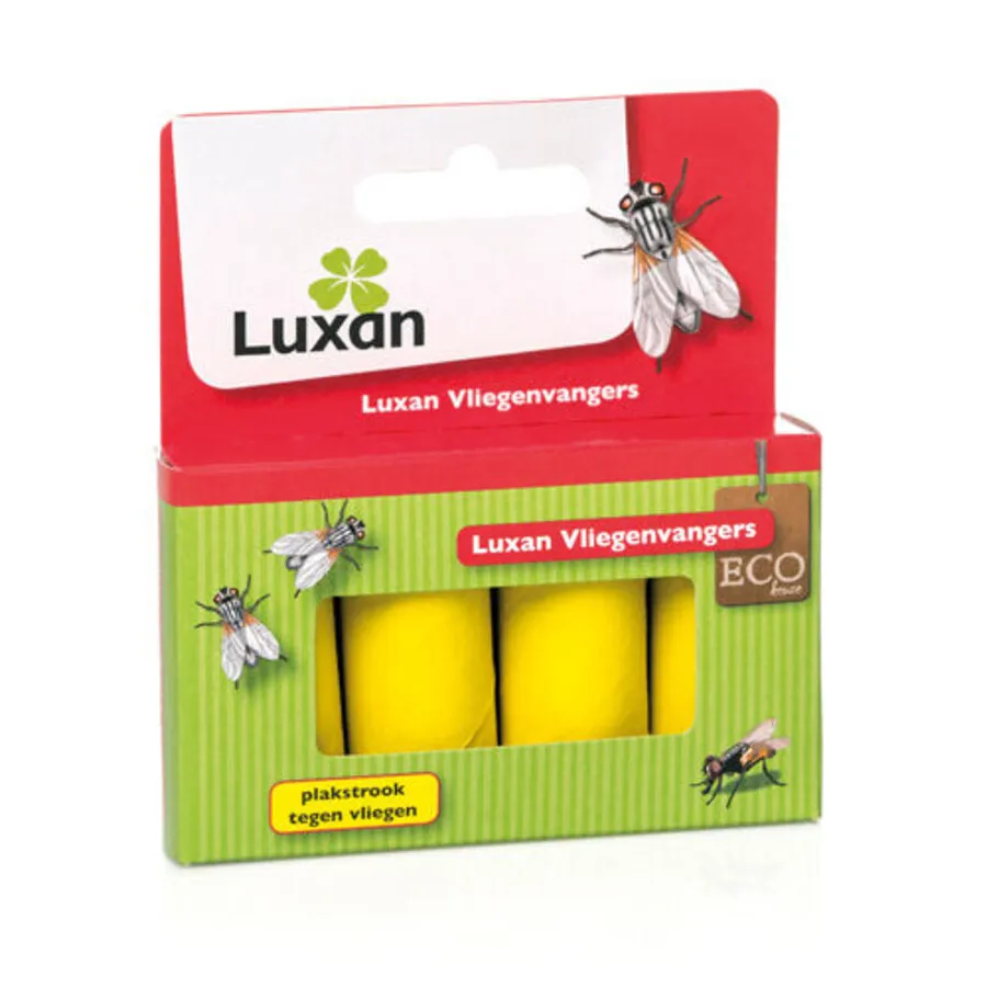 Vliegenvangers met kleefstrip | 4 stuks | gifvrij voor binnen