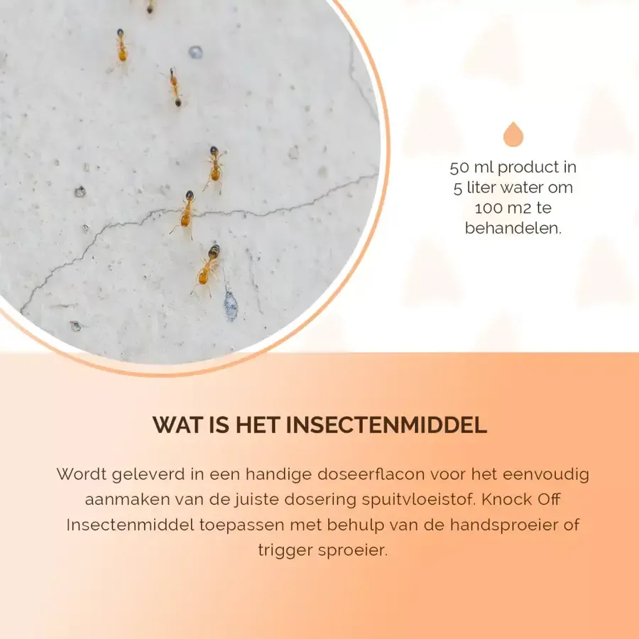 Insectenmiddel tegen kakkerlakken 100 ml | concentraat voor naden en kieren
