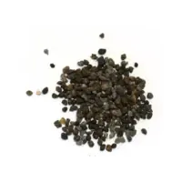 Greentime 2 in 1 gazonmeststof 10 kg | voor 100 m² | 4 maanden werking