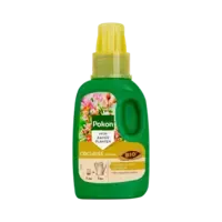 BIO Orchidee Voeding 250 ml voor gezonde groei en uitbundige bloei