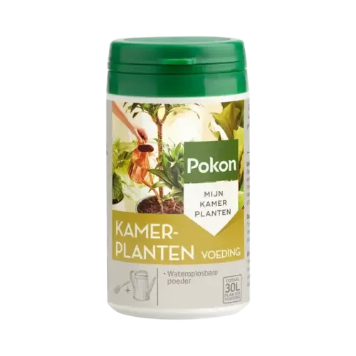 Pokon Kamerplanten Voeding Poeder 100 gram