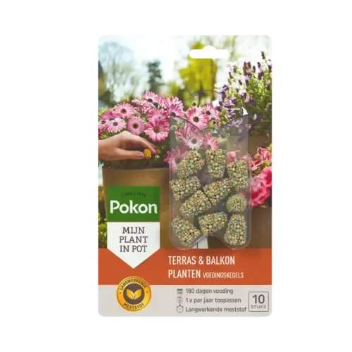 Pokon Terras & Balkon Planten Voedingskegels