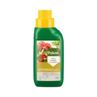 Anthurium voeding 250 ml | voor uitbundige bloei en diepgroen blad