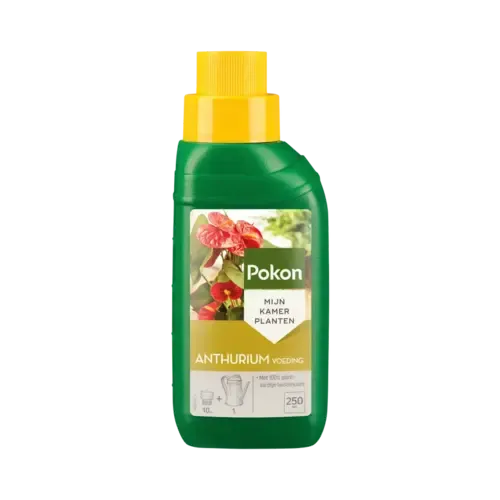 Pokon Anthurium voeding 250 ml