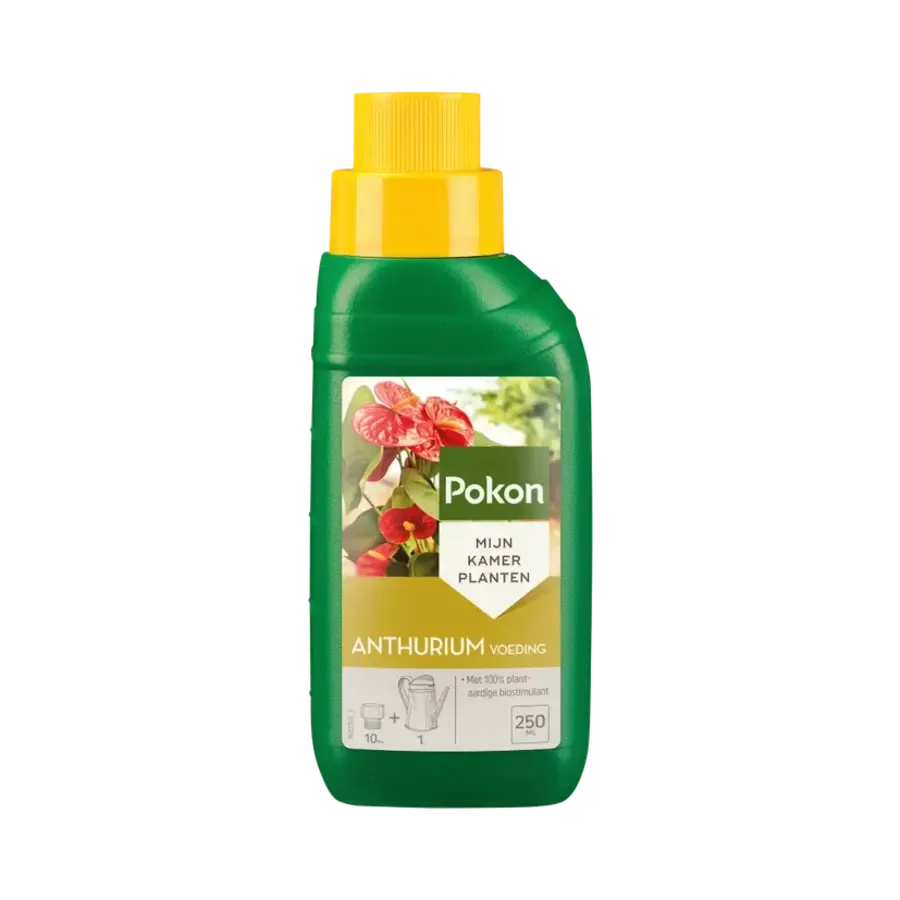 Anthurium voeding 250 ml | voor uitbundige bloei en diepgroen blad