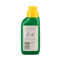 Anthurium voeding 250 ml | voor uitbundige bloei en diepgroen blad