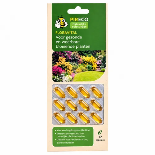 Pireco FloreVital 12 Capsules