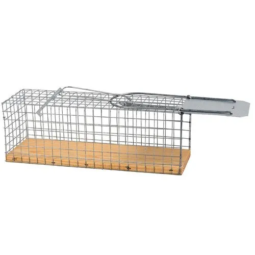 AllesTegenOngedierte.nl Budget rattenvangkooi met houten bodem