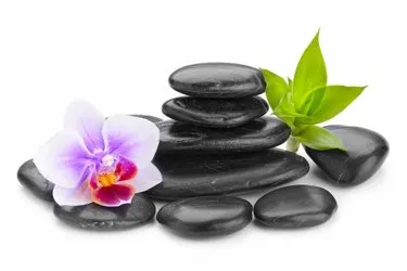 Wellness thee
