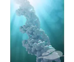 Auraspray Eenheidsbewustzijn