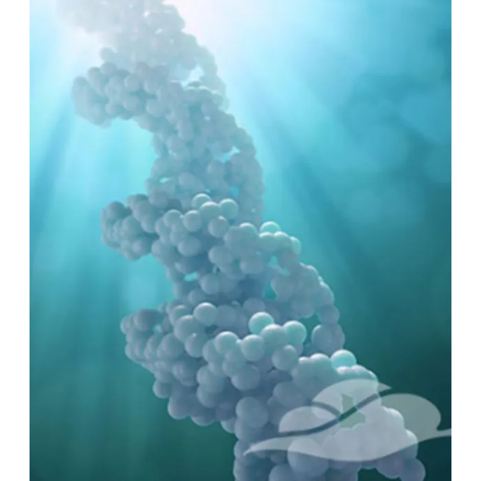 Auraspray Eenheidsbewustzijn