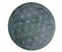 Energie plaat met levensbloem