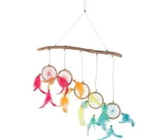 5 dromenvangers aan tak