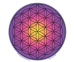 Raamsticker Flower of Life gekleurd