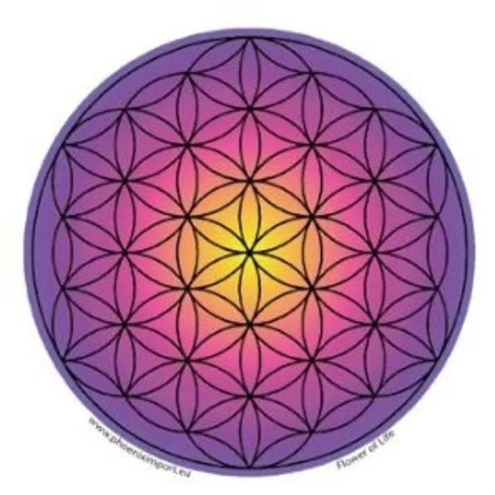 Raamsticker Flower of Life gekleurd