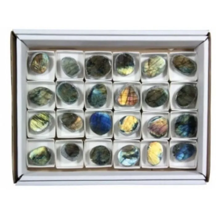 Labradoriet Ovo de Ema