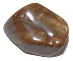 Versteend hout getrommeld