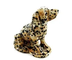 Dalmatian Dog Dalmatine Jaspis