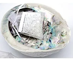 Oplaad schelp bergkristal