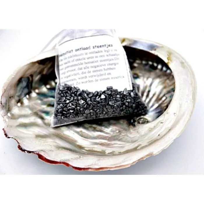 Abalone schelp met hematiet steentjes