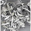 Witte salie grof 100 gram