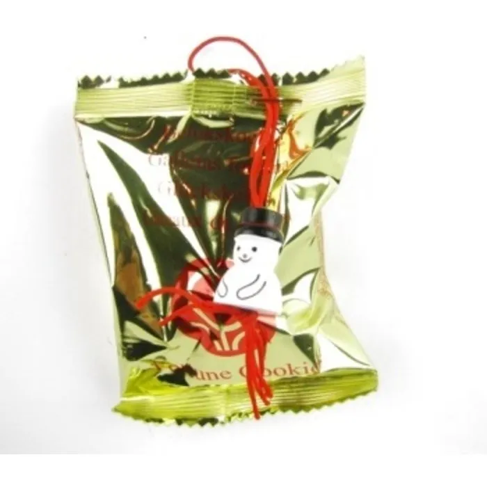 Gelukskoekje met een sneeuwpop