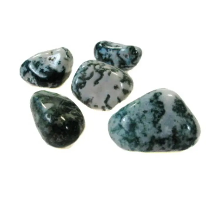 Boom agaat getrommeld