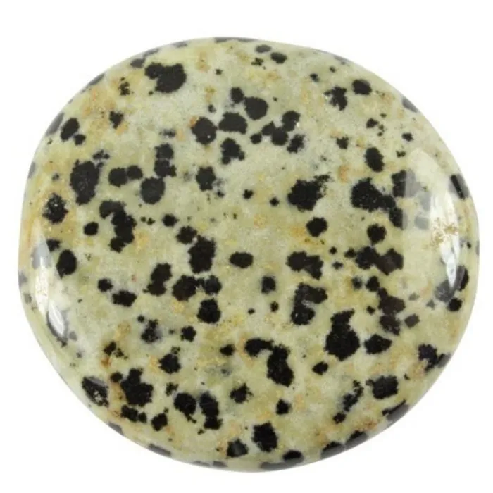Dalmatiner platte steen