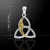 Triquetra met halve maan hanger