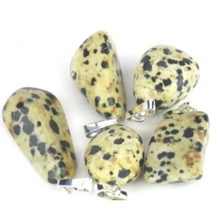 Jaspis dalmatiner hangertje