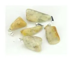 Versteend koraal hanger