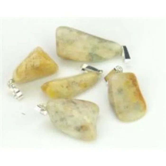 Versteend koraal hanger