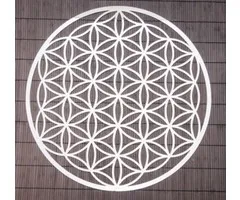 Levenbloem rvs 18 cm