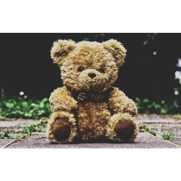 Auraspray Beschermbeer