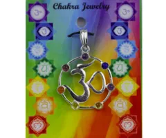 OHM hanger met 7 chakra stenen messing verzilverd
