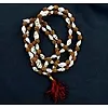 Mala rudraksha en schelpjes