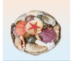 Mandje met schelpen