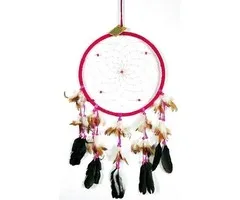 Dromenvanger roze 27 cm