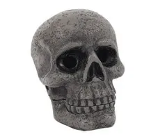 Wierookbrander schedel