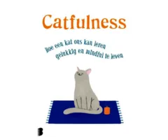 Catfulness