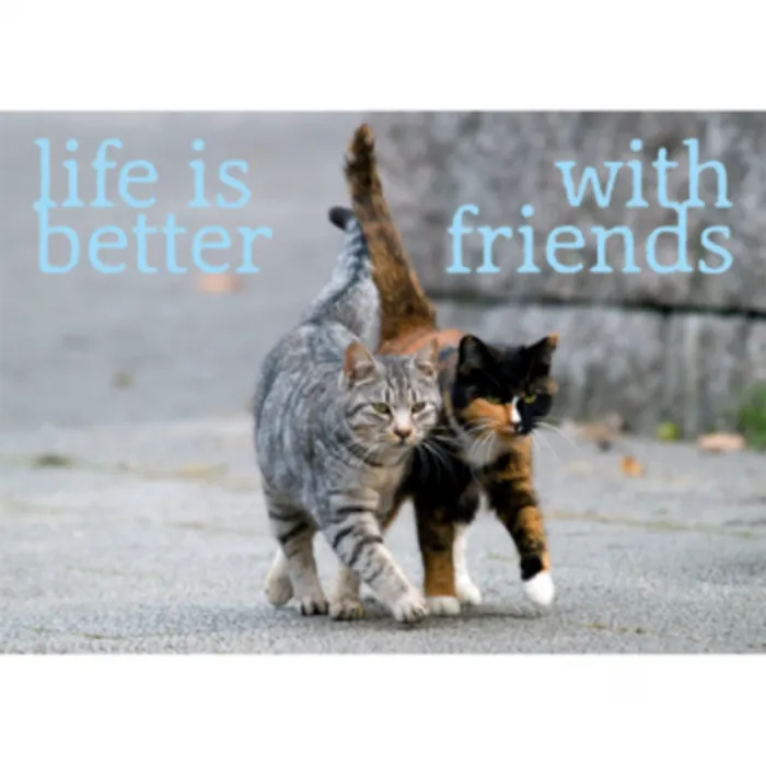 Ansichtkaart Life is better With friends