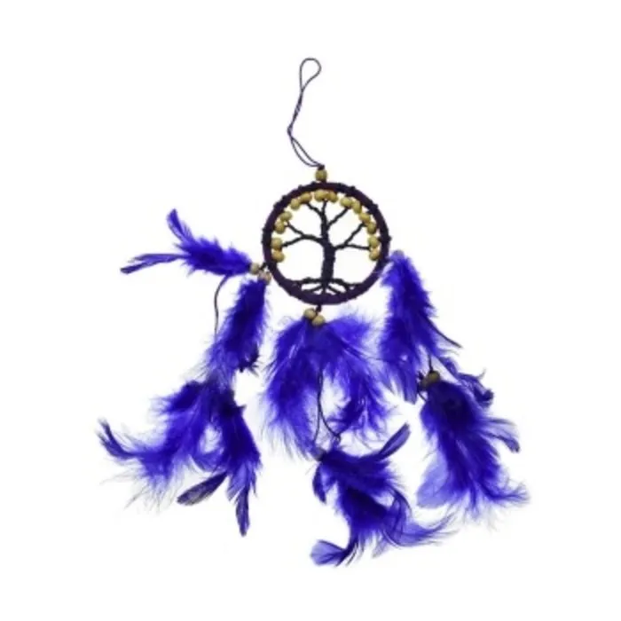 Dromenvanger levensboom paars 6 cm