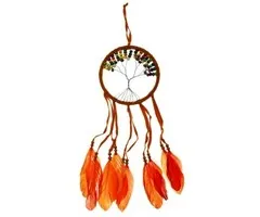 Dromenvanger levensboom oranje 12 cm