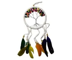 Dromenvanger levensboom wit 12 cm