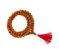 Mala rudraksha 11mm 108 kralen