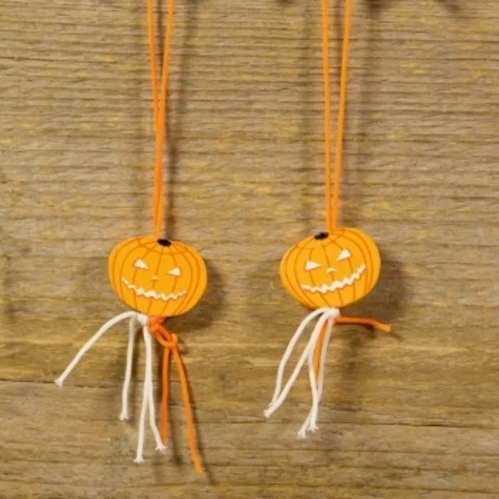 Gelukshanger pompoen 10 stuks