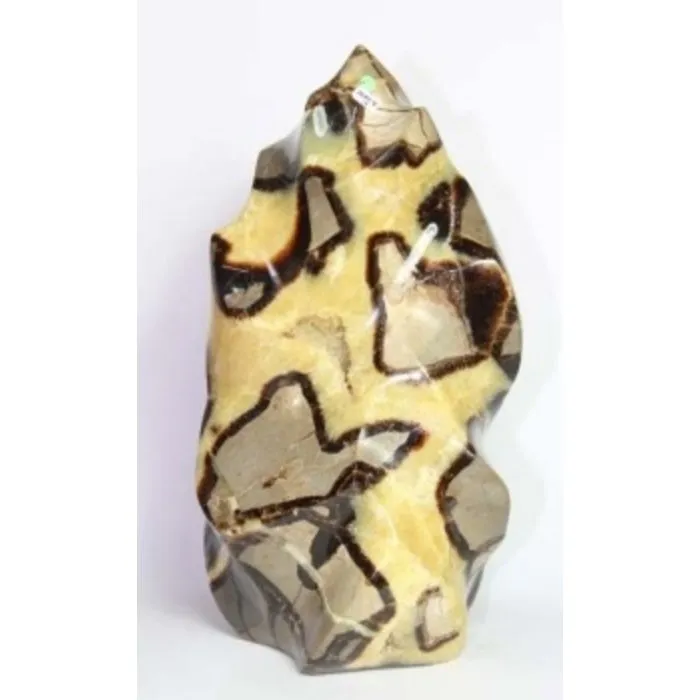 Septarien vlam 7,78 kg