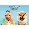 Lijk jij op je hond - memoryspel