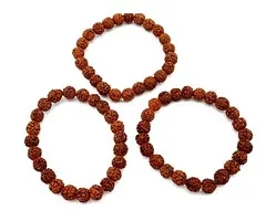 Mala armband Rudraksha